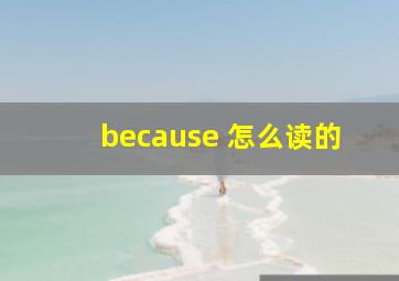 because 怎么读的